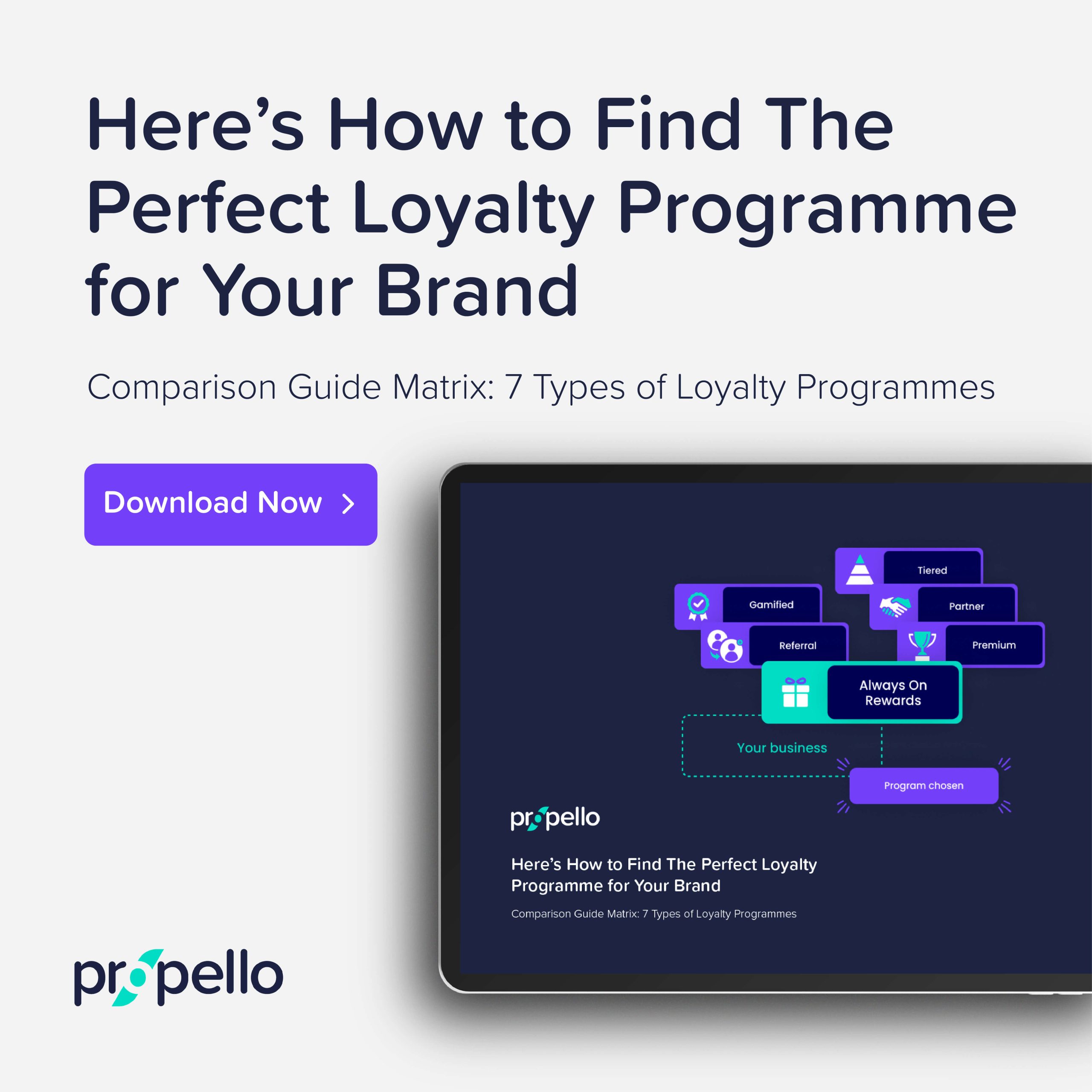 Customer Loyalty & Rewards Programme Guide